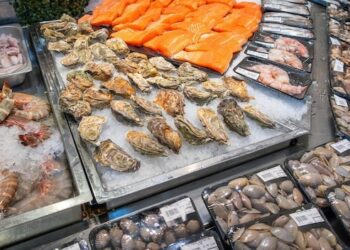 Fresh seafood display with various shrimps salmon fillet oysters clams shellfish in grocery store
