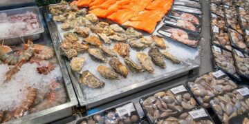 Fresh seafood display with various shrimps salmon fillet oysters clams shellfish in grocery store