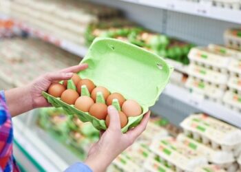 In the hands of a woman packing eggs in the supermarket