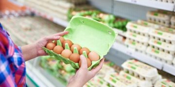 In the hands of a woman packing eggs in the supermarket