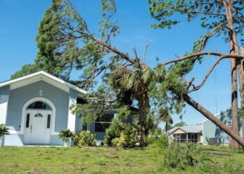 Hurricane damage to a house roof in Florida Fallen down big tree after tropical storm winds Consequences of natural disaster