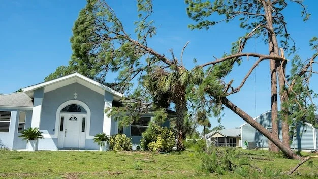 Hurricane damage to a house roof in Florida Fallen down big tree after tropical storm winds Consequences of natural disaster
